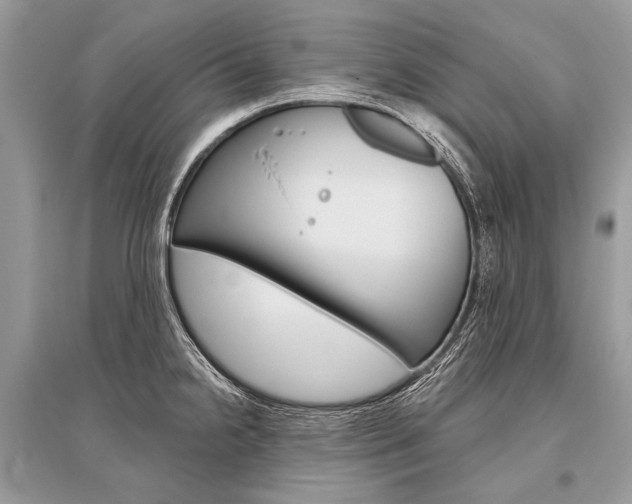 X0000096491238200801241203
