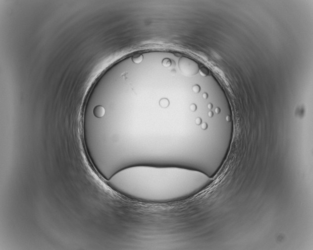 X0000096491239200801241203