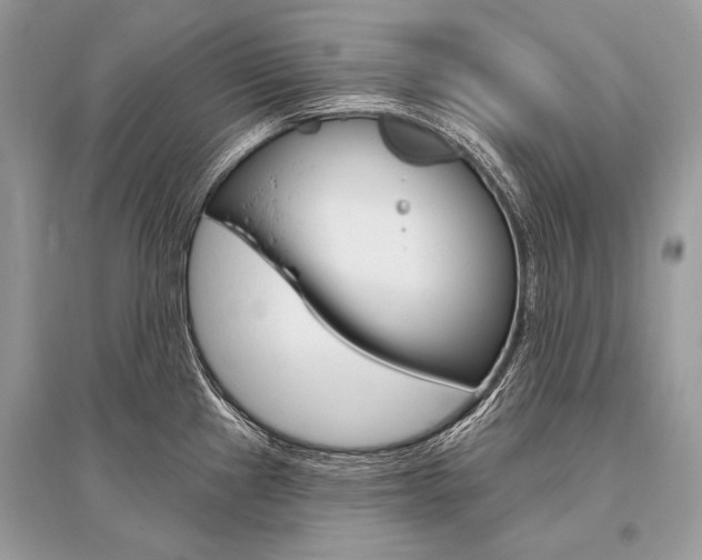 X0000096491241200801241203