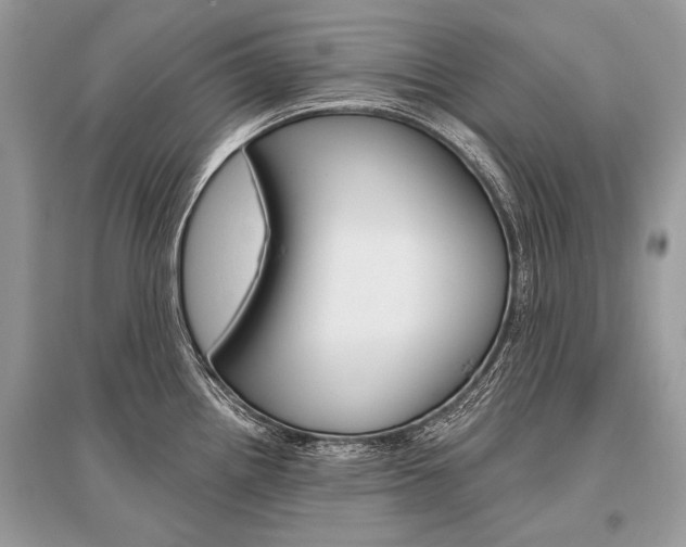 X0000096491242200801241203