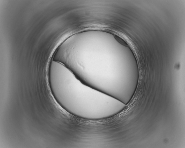 X0000096491243200801241203