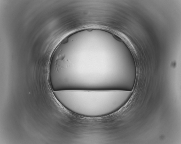 X0000096491244200801241203