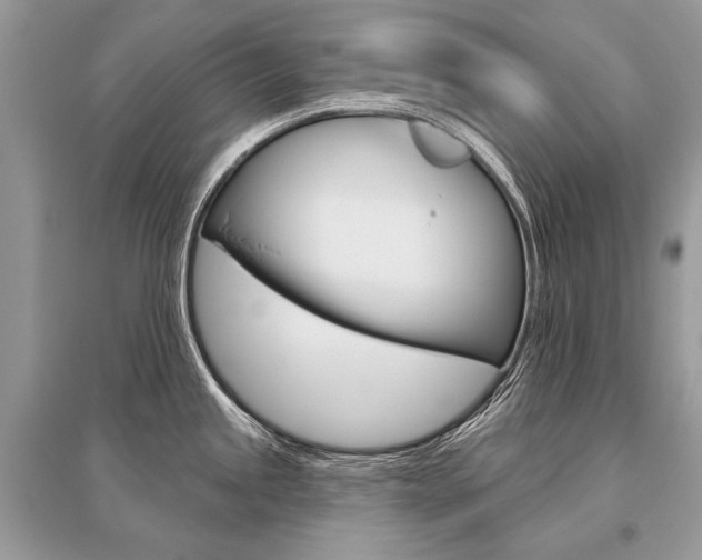 X0000096491245200801241203