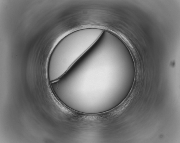 X0000096491246200801241203