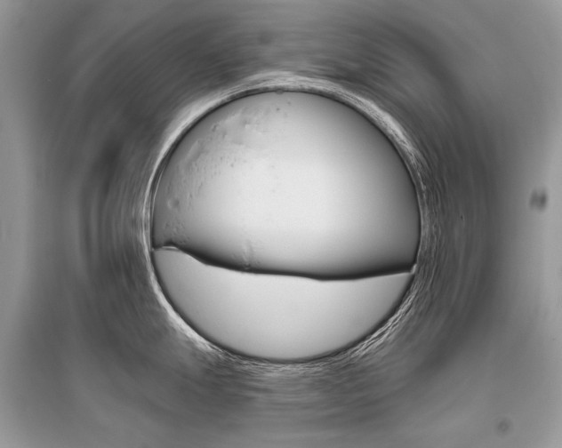 X0000096491247200801241203