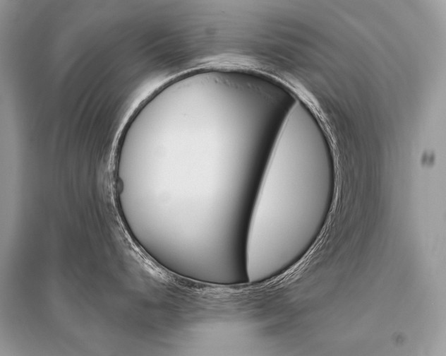 X0000096491248200801241203
