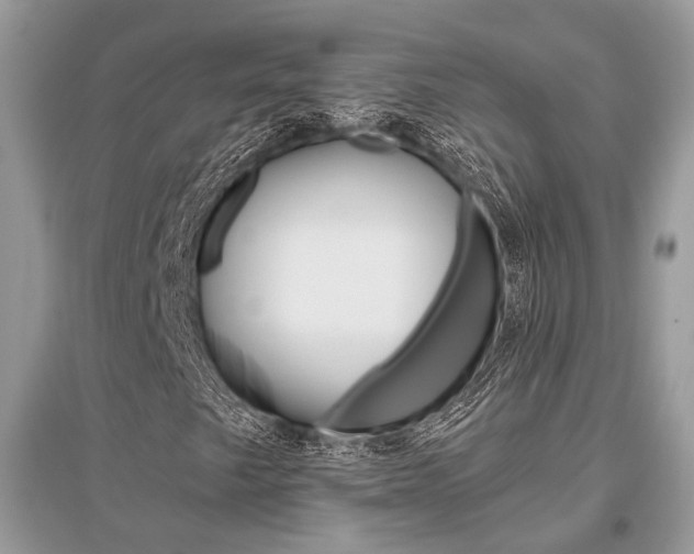 X0000096491249200801241202