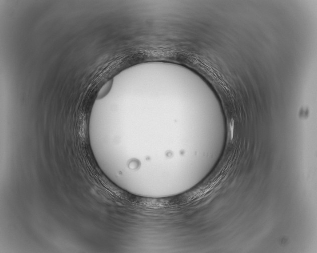X0000096491251200801241202