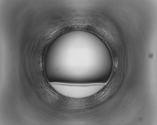 X0000096491252200801241202