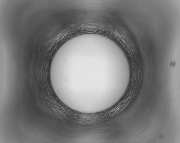 X0000096491253200801241202