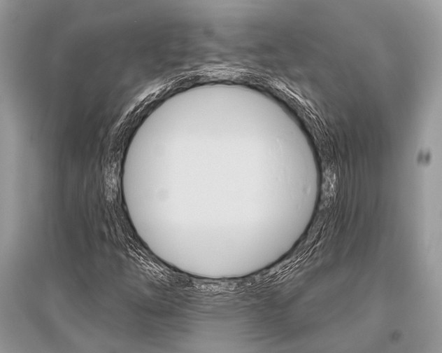 X0000096491254200801241202