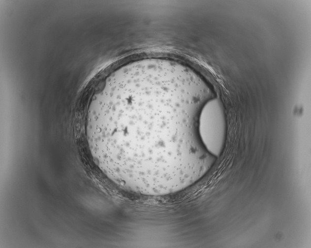 X0000096491255200801241202