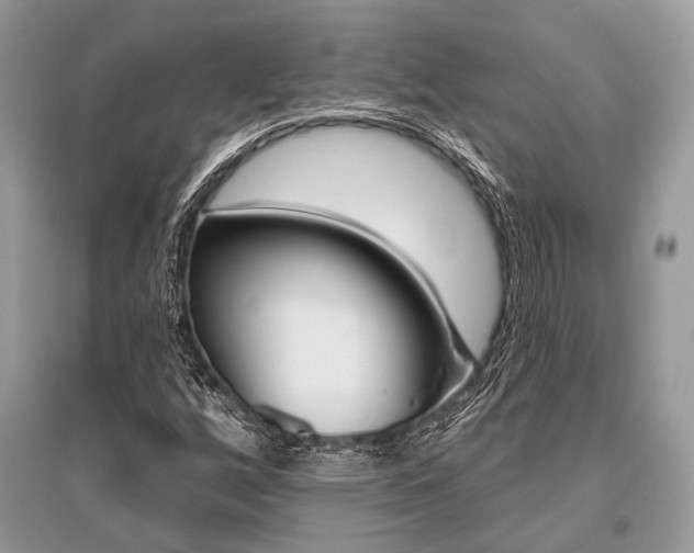 X0000096491256200801241202