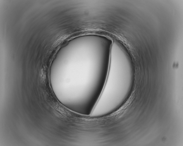 X0000096491257200801241202