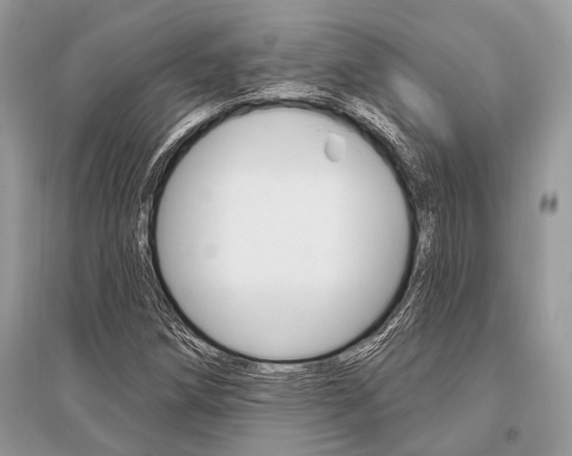 X0000096491258200801241202