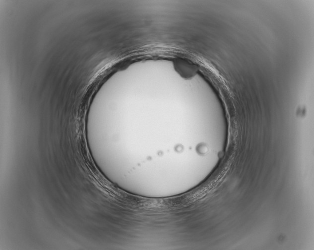 X0000096491259200801241202