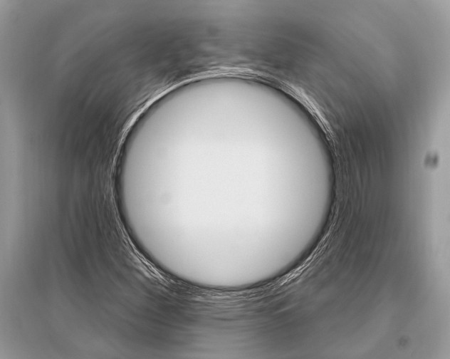X0000096491260200801241202