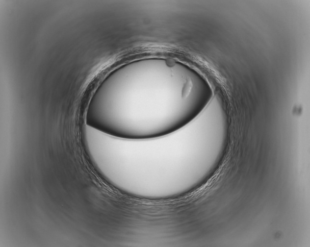 X0000096491261200801241202