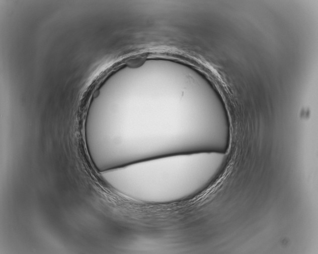 X0000096491263200801241202
