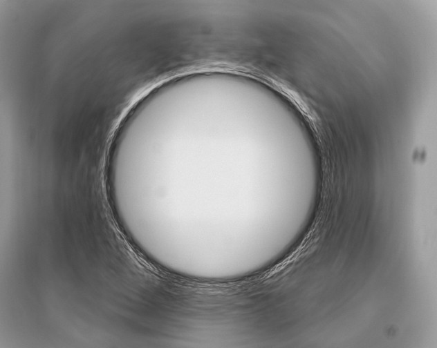 X0000096491264200801241202