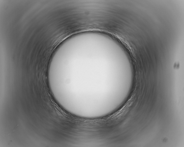 X0000096491265200801241202