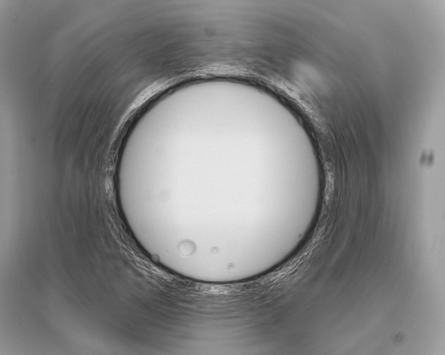 X0000096491266200801241202
