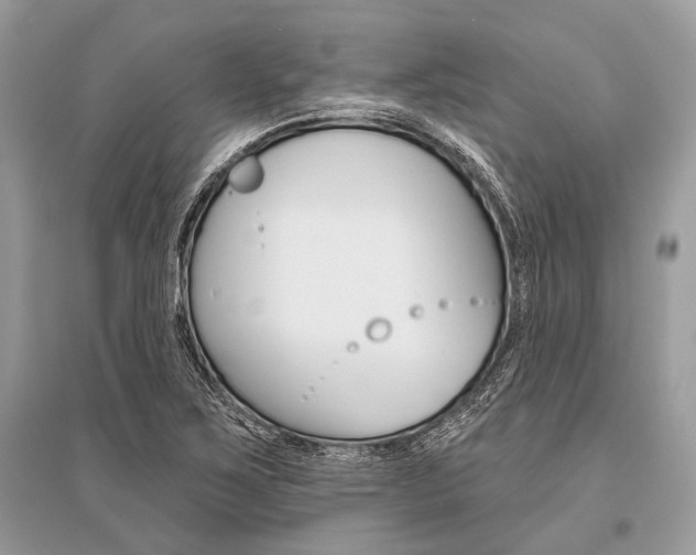X0000096491267200801241202