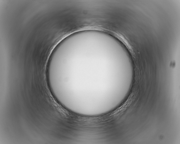 X0000096491268200801241202