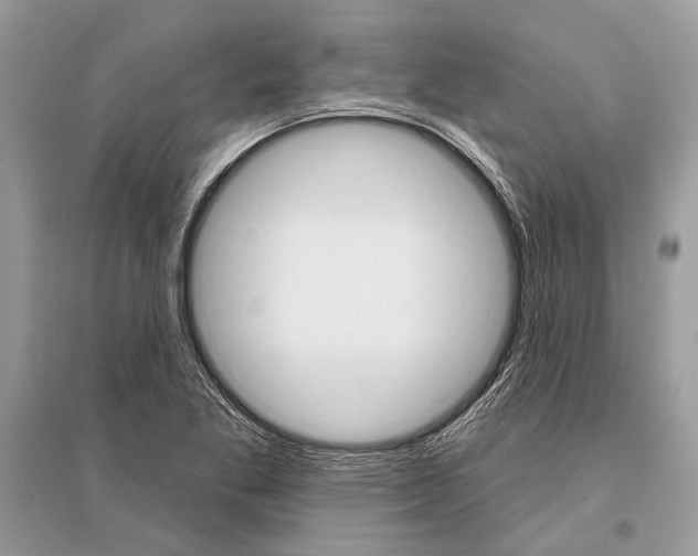 X0000096491269200801241202