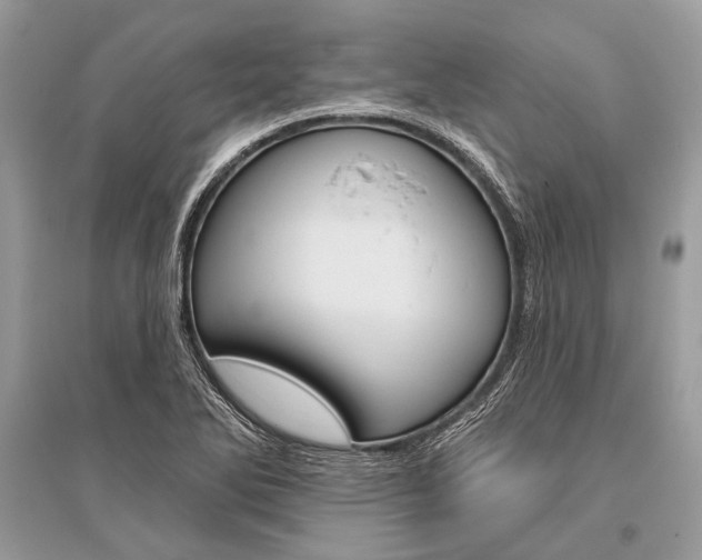 X0000096491270200801241202