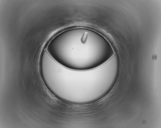 X0000096491272200801241202