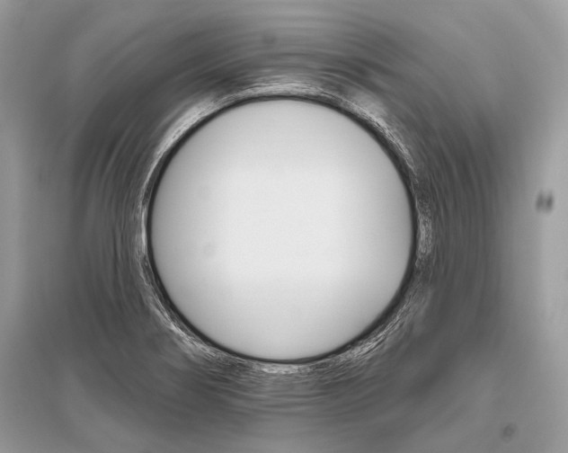 X0000096491274200801241202
