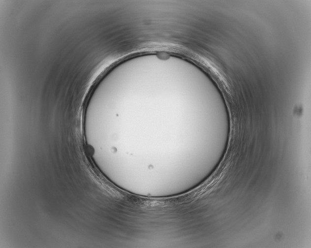 X0000096491275200801241202