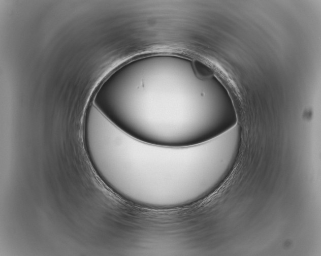 X0000096491276200801241201