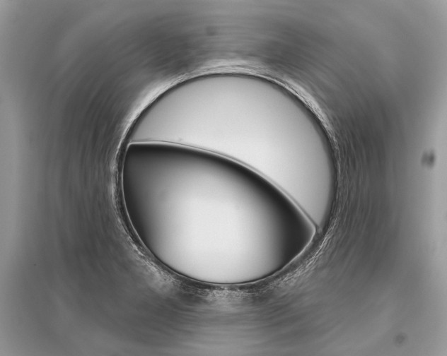 X0000096491277200801241201