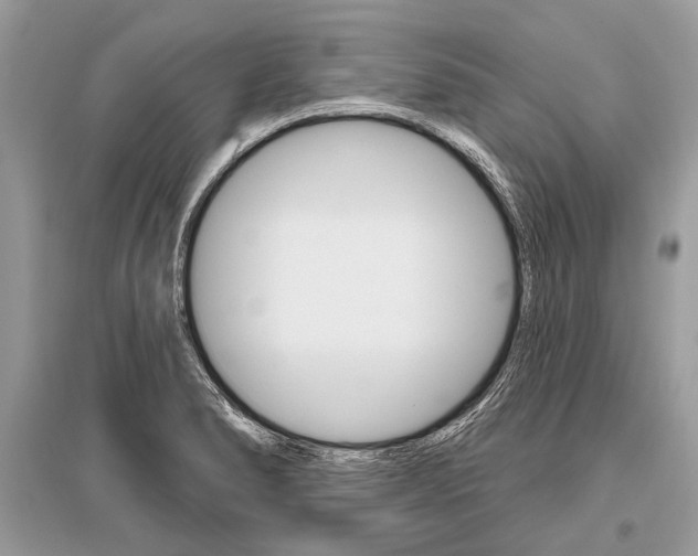 X0000096491278200801241201