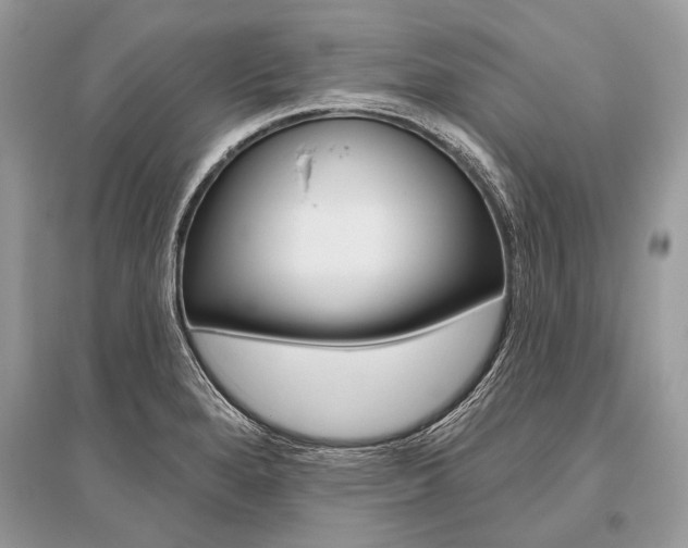 X0000096491280200801241201