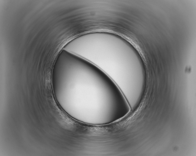 X0000096491281200801241201