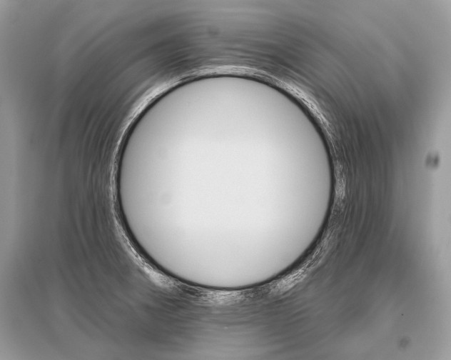 X0000096491282200801241201