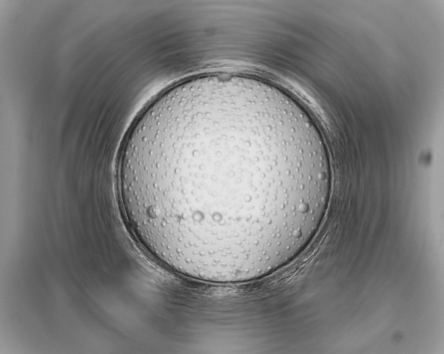 X0000096491283200801241201