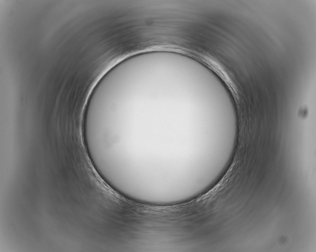 X0000096491284200801241201