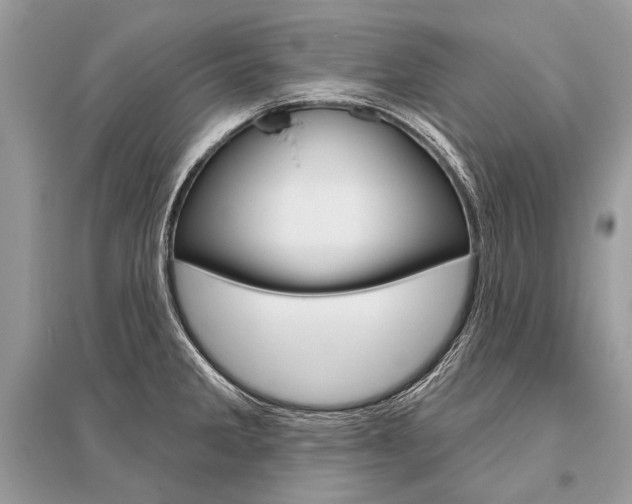 X0000096491285200801241201