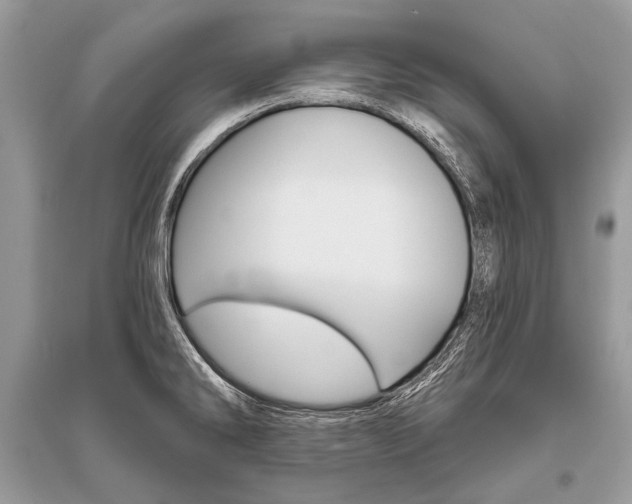 X0000096491286200801241201