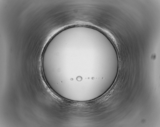X0000096491287200801241201