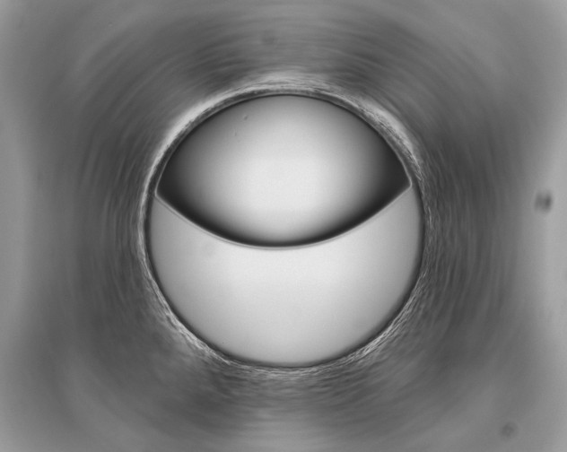 X0000096491288200801241201