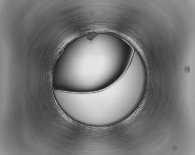 X0000096491289200801241201