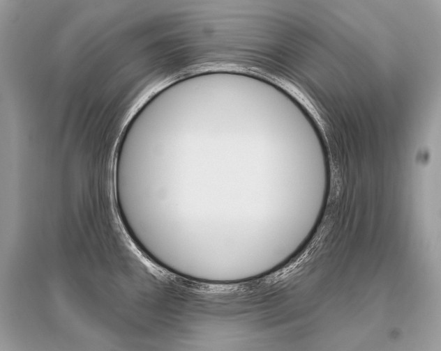 X0000096491290200801241201