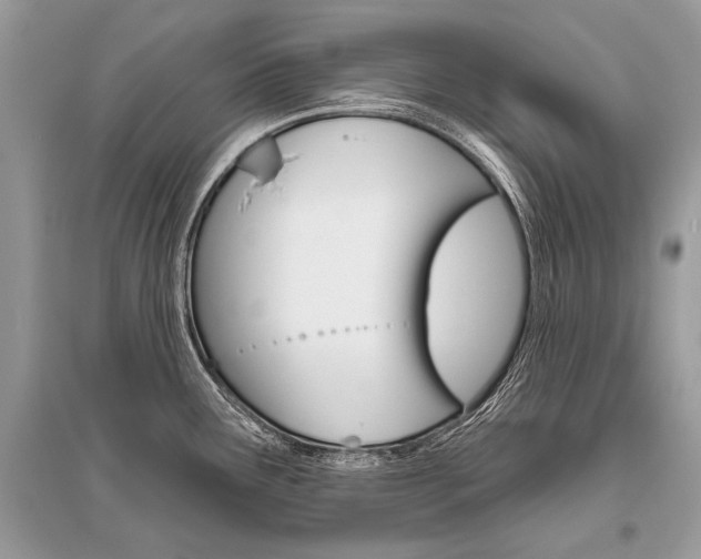 X0000096491291200801241201