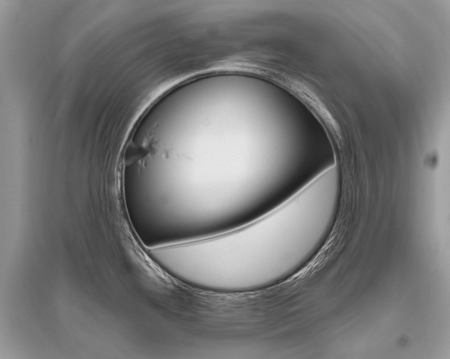 X0000096491292200801241201