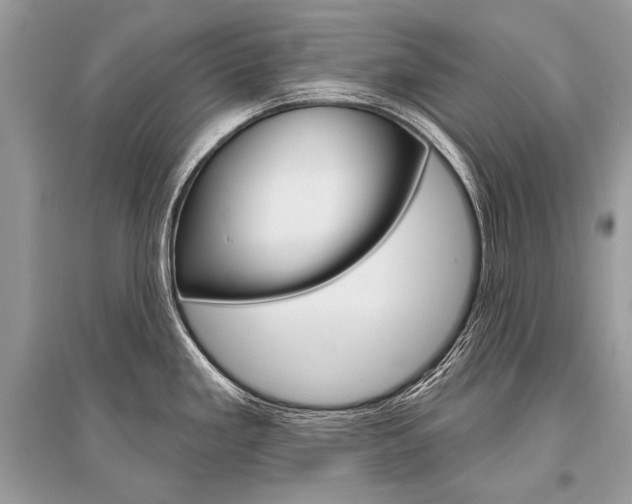 X0000096491293200801241201